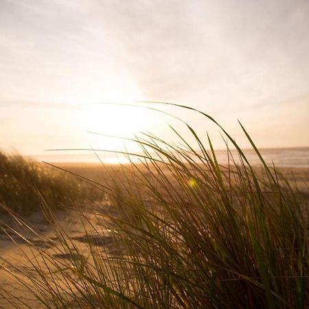 Kleine Nordseewelle Ohne Hund Норден Екстериор снимка